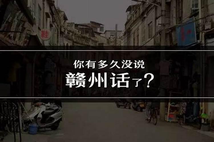 赣州冬至吃什么