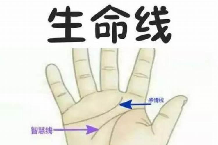 副生命线是什么