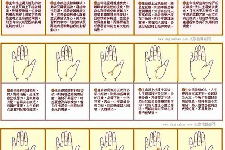 副生命线有哪几种图解
