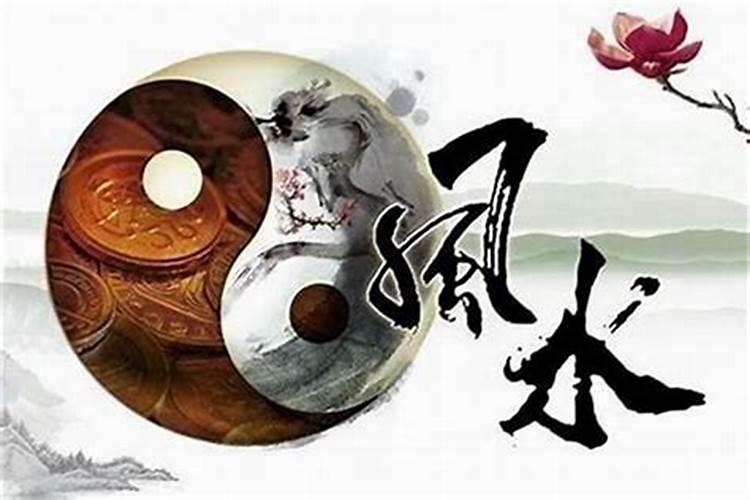 1981年属鸡2025年每月运势运程