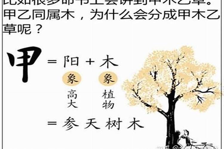 八字木多的是富贵命,生辰八字木多