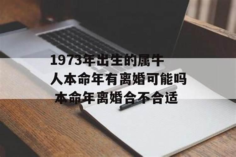 属牛的人本命年可以摆脱单身吗？