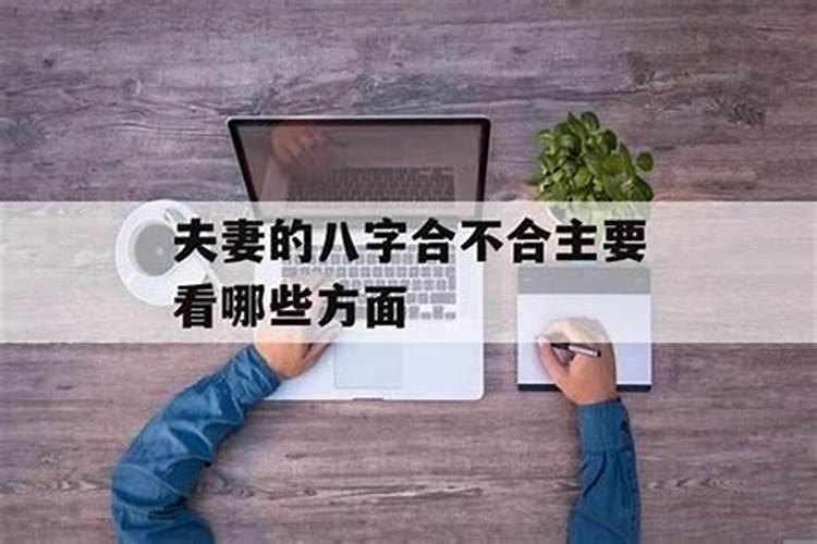 两个人八字合不合怎么看