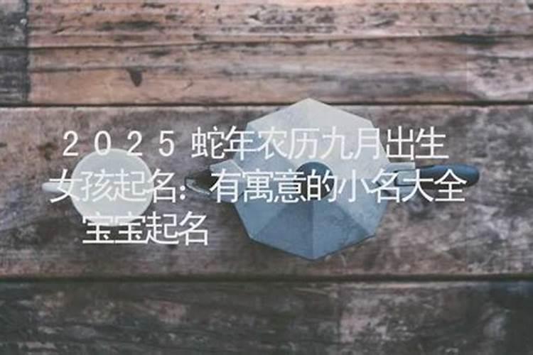 属兔2025年运势及运程详解