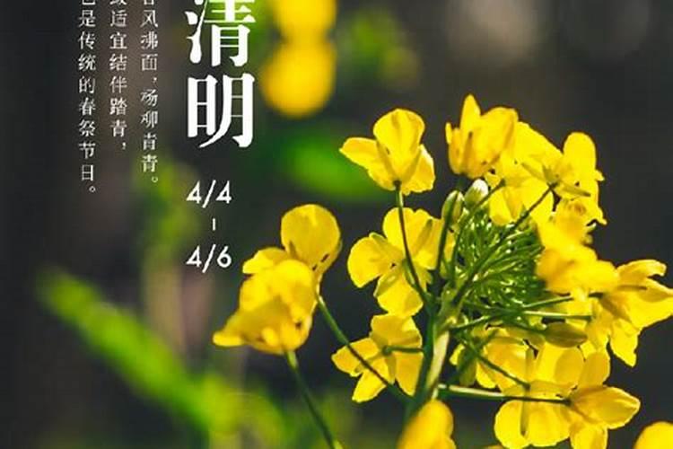 梦见自己在枣树上摘枣吃