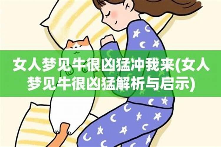 合婚帖是什么意思