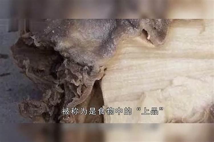 店铺生意不好如何改善店铺怎样才能旺财