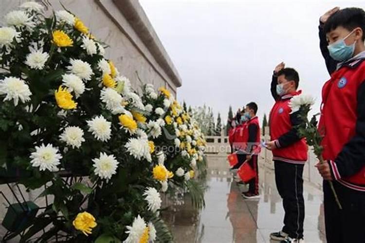 什么样的人适合养鱼,十二生肖鱼缸风水禁忌