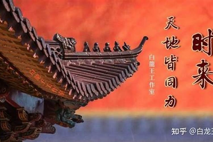 属兔人在哪些年份不好