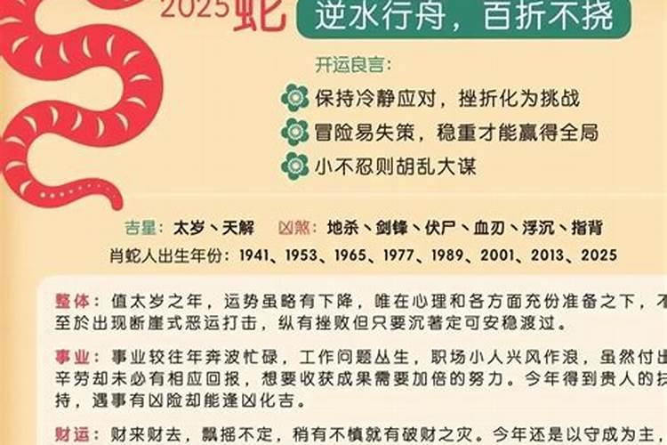 今年是啥年属什么生肖