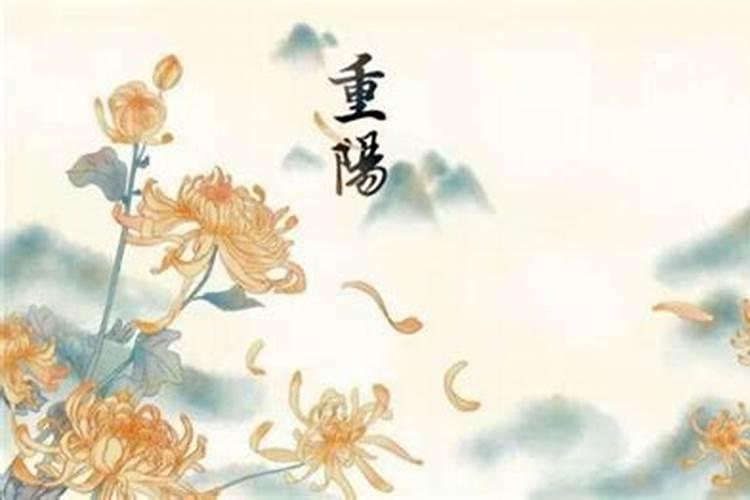 重阳节送什么花合适 重阳节送什么花好