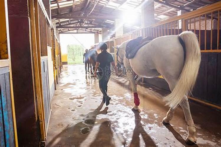 属蛇冲太岁佩戴什么 生肖蛇冲太岁可以佩戴什么