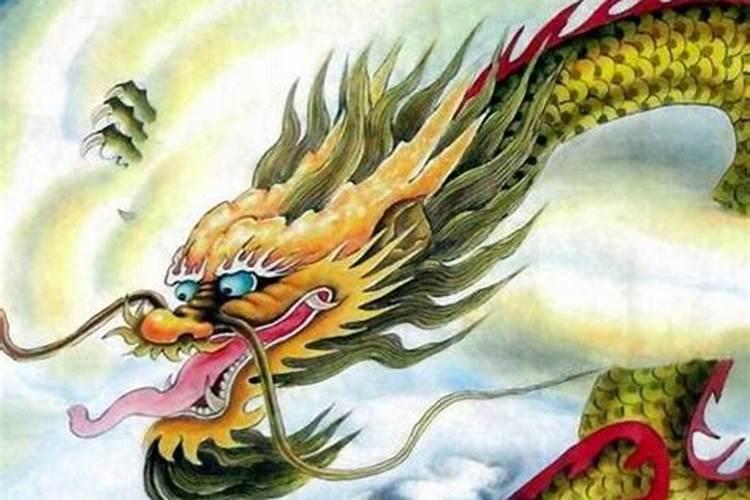 女马和男龙能不能在一起