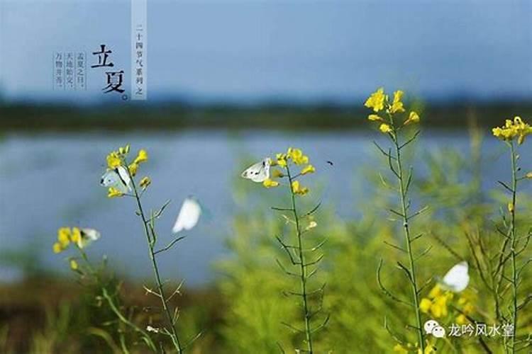 本命年有什么讲究属虎 本命年有哪些讲究属虎