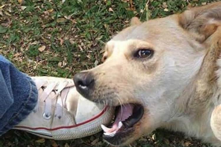 周公解梦梦见死人复活什么预兆