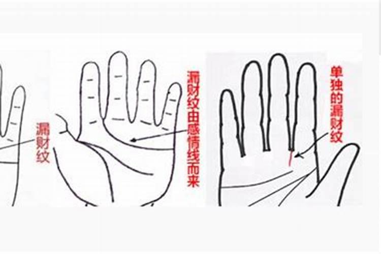 有漏财纹,一生劳碌命的女人手相,事业线凌乱弯曲,注定难赚大钱