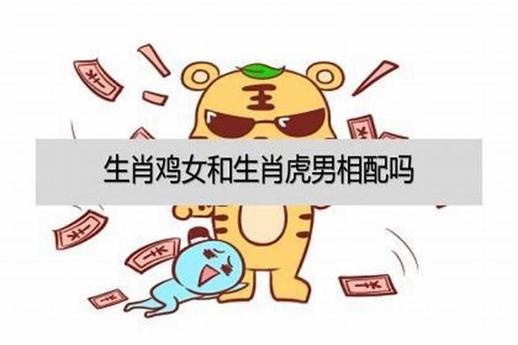 属鸡的和属虎的八字合不合 男鸡配女虎婚姻状况