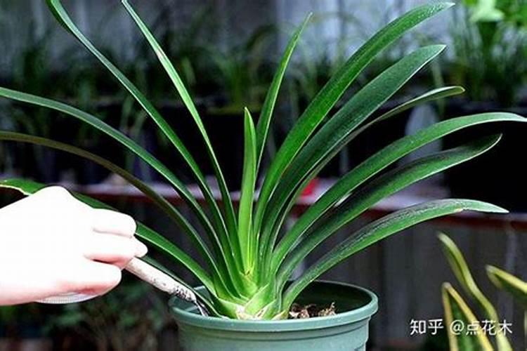 老北京有什么习俗？？