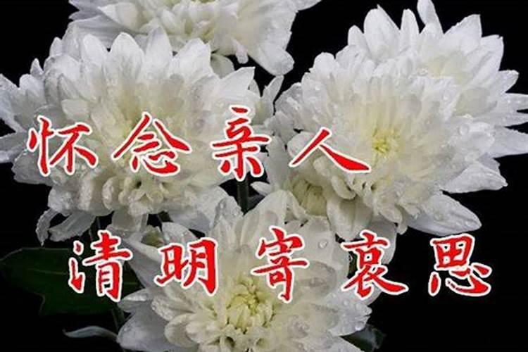 2024年清明节是几点几分几秒清明节吃哪些食物