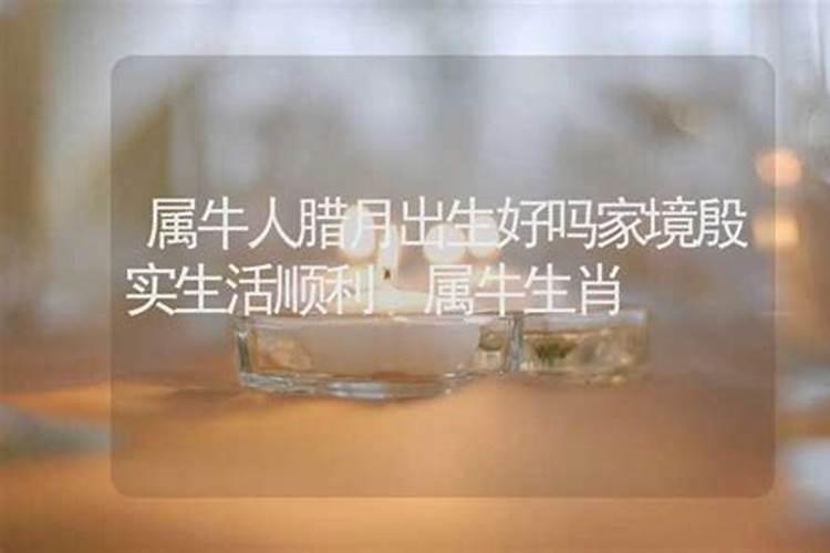 属牛腊月出生命运如何