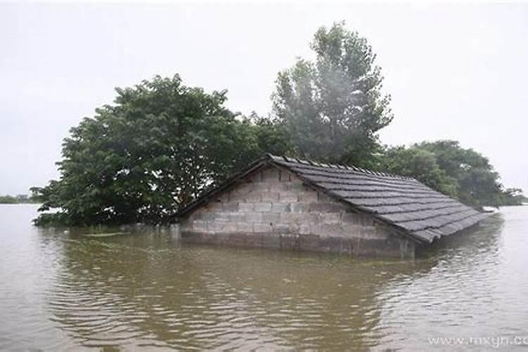 梦见家里满地的水和鱼
