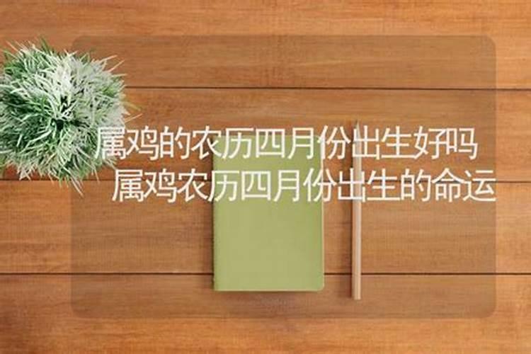 生肖属鸡人1981年农历5月24日出生的运程