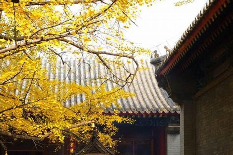 鄱阳县有哪些旅游景点