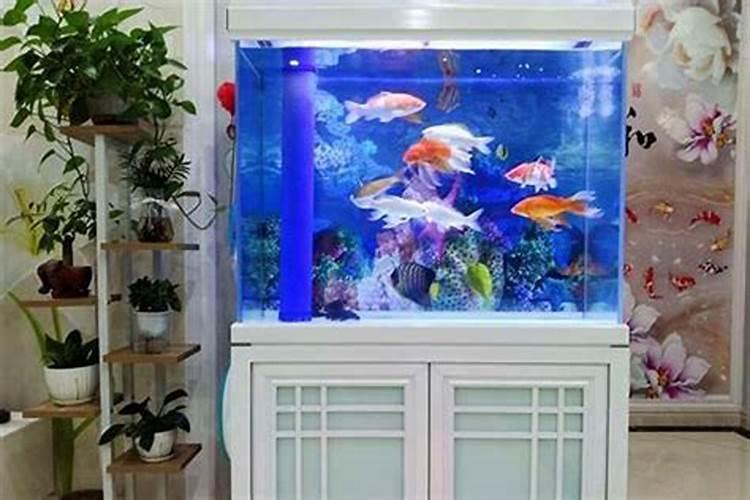 家庭鱼缸摆放位置风水 家庭鱼缸摆放位置风水讲究
