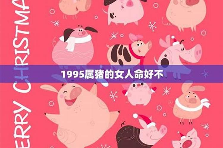 1995年属猪女2025年运势