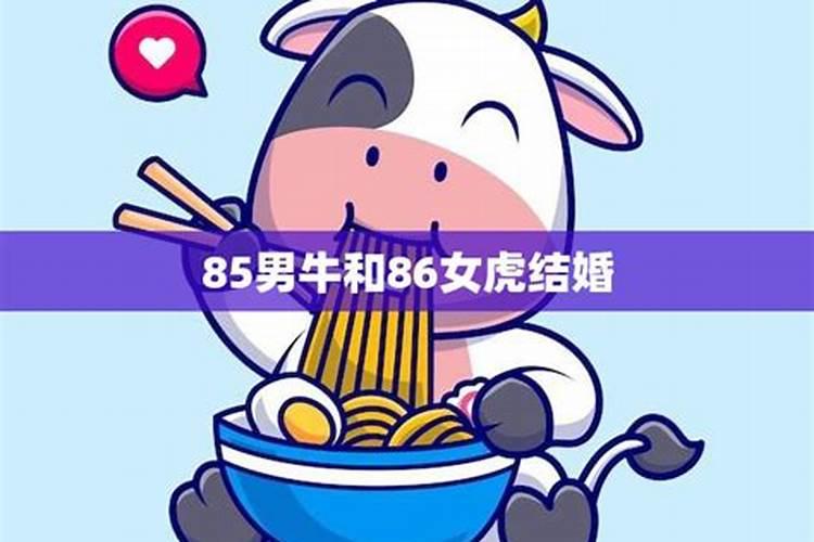 1999年属兔女士[26岁]2025年运势揭秘,看看每月的好运来袭