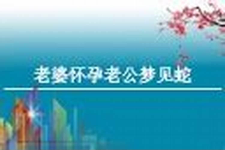 备孕老公梦见蛇预兆