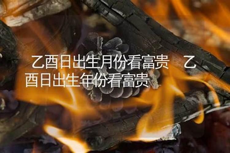 丁卯年农历十二月十三乙酉日出生的女人今年运程如何