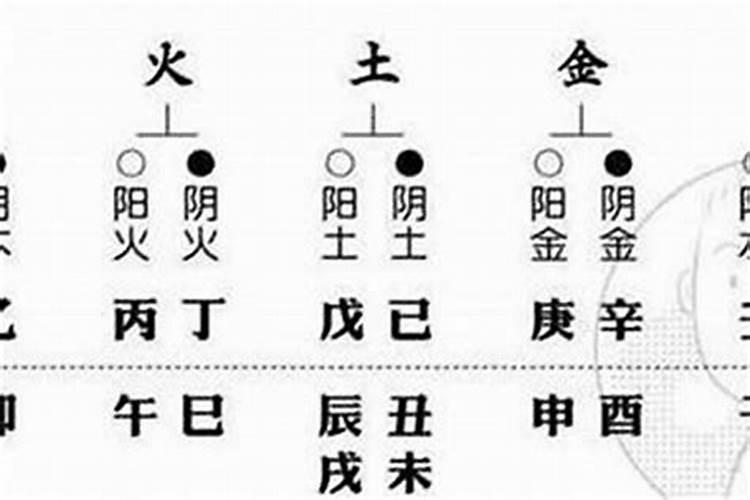 如何从八字看配偶年龄十神气数差距论？