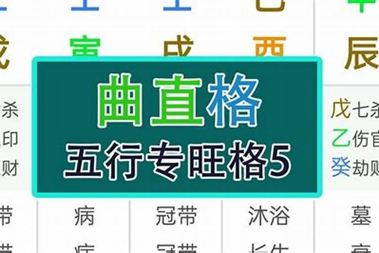 八字从旺格局什么意思？