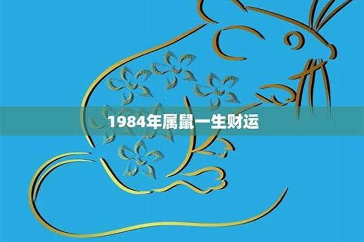84年的鼠2025年的运势及运程
