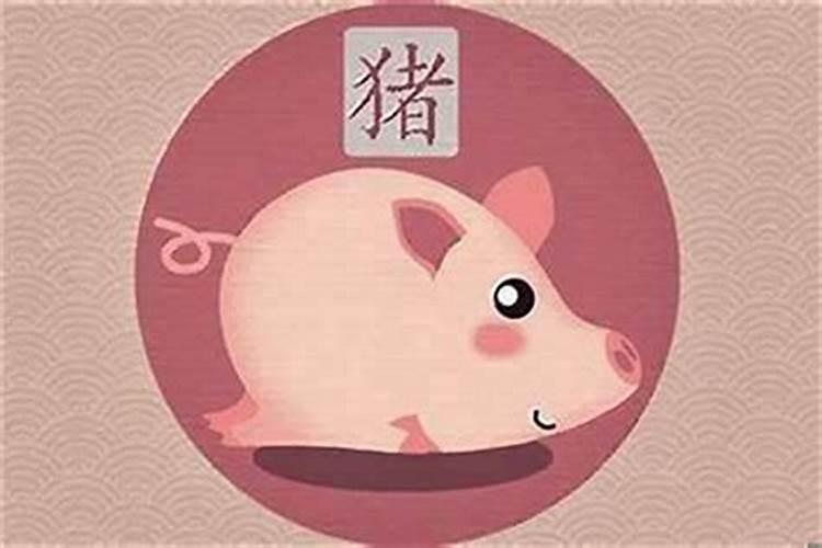 属猪一九八三年十一月十三日戌时出生的人命运