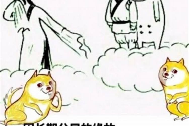 七夕在哪一天 七夕在什么时候几月几日