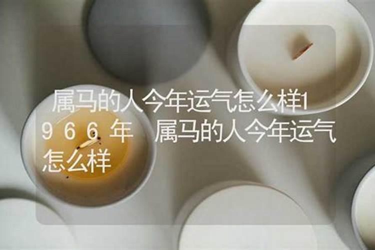 66年属马人2025年全年运势