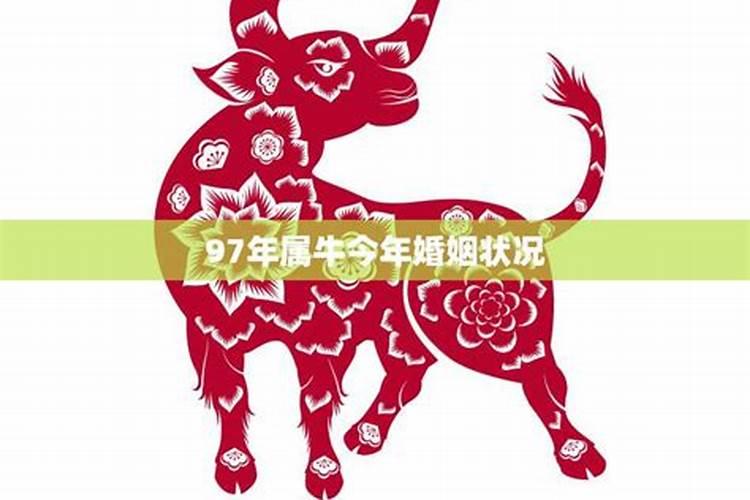 梦见换新脚甲的预兆