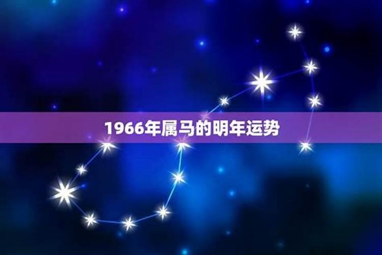 1966年属马人2025年运势如何