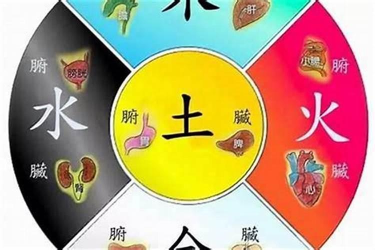 如何判断自己是金木水火土命