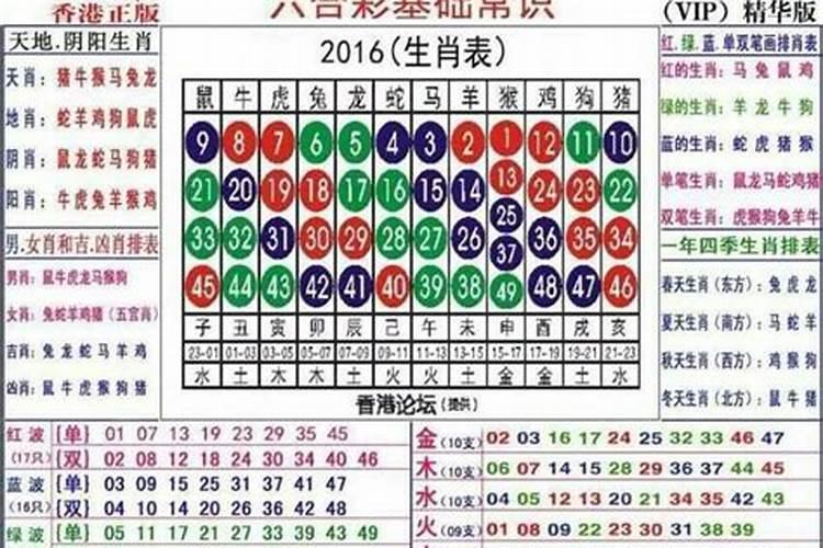 今期生肖三八开代表是什么生肖,正文已解落实