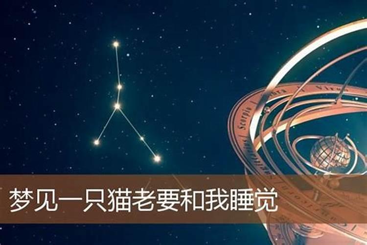 梦见朋友怀孕挺着大肚子是什么意思
