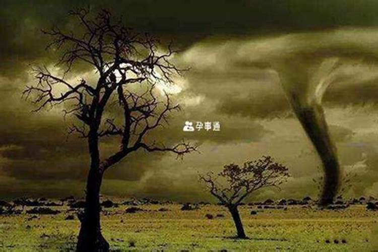 1997年农历九月初六出生属牛的命运怎样
