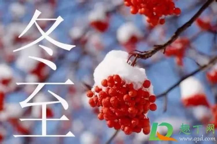 冬至是按照阳历还是阴历