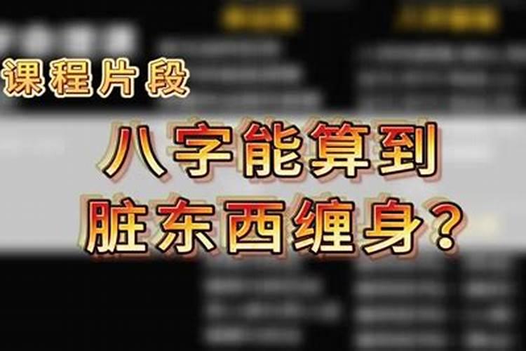 属狗人出生年月日时辰命运详解