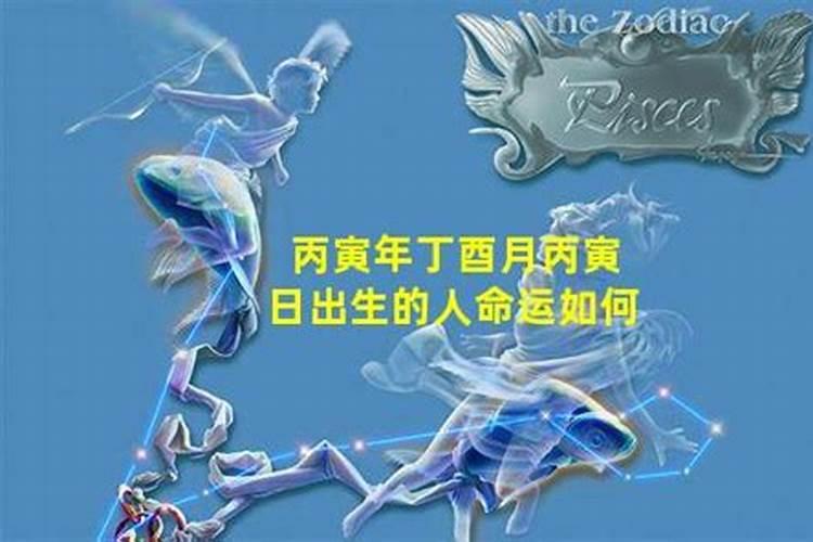我是1986/11/29(公历) 丙寅年 己亥月 丁丑日 己巳时出生的 命运如何...
