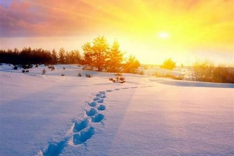 2022年北京除夕当天会下雪吗北京除夕当天天气怎么样