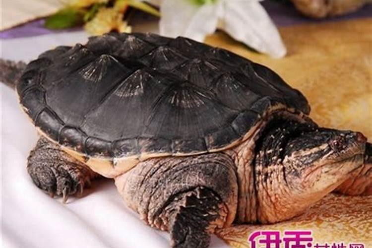 太原中秋节哪里好玩
