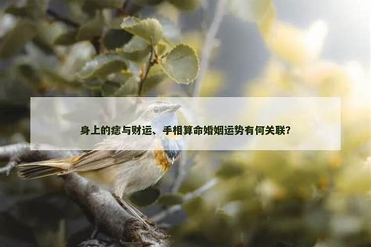 童子护体真的有这种说法吗